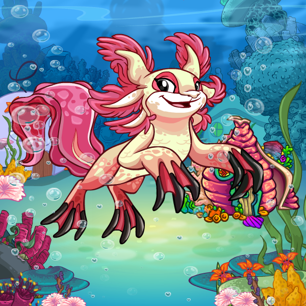 Maraquan | Dress to Impress: Preview customized Neopets' clothing and ...